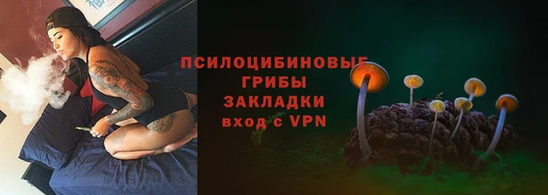 Альфа ПВП Балабаново
